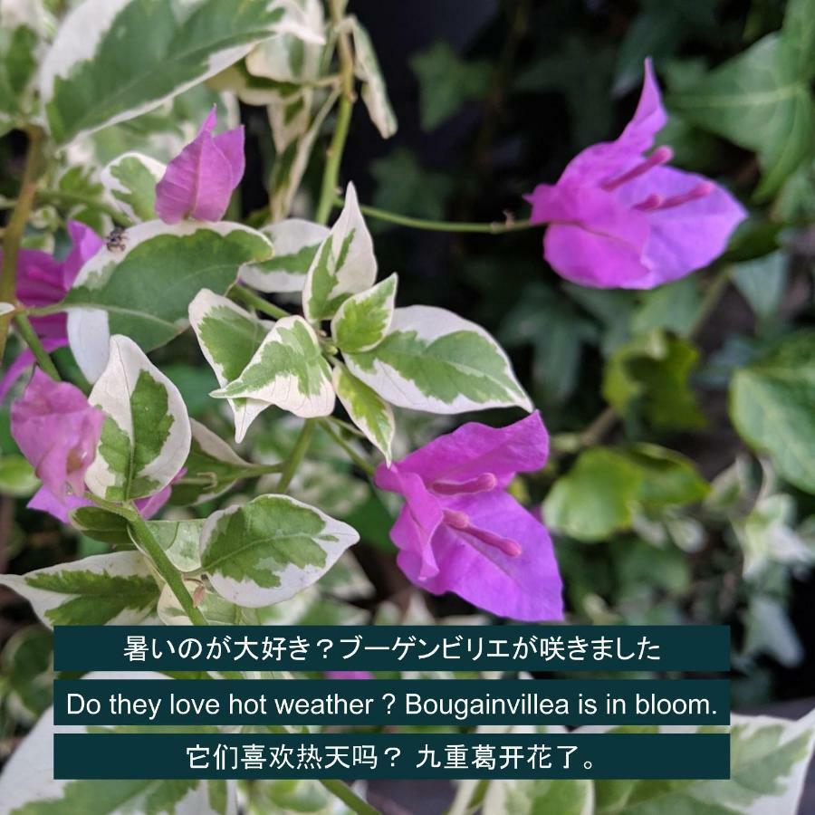교야 료칸 - 12세 이상 전용 나고야 시 외부 사진